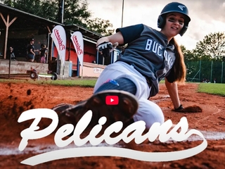 pelikans-